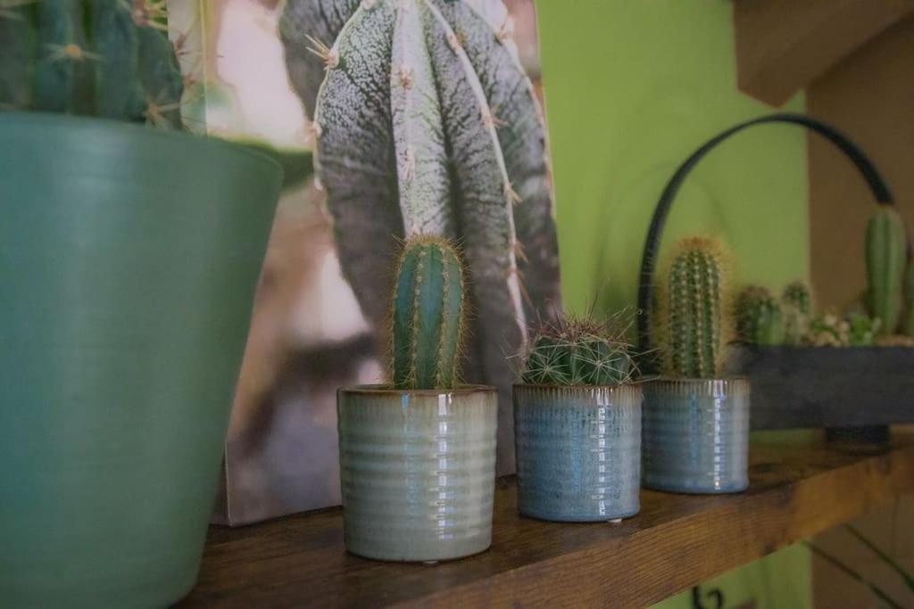 Coin De Nature En Centre-Ville Troyes Ngoại thất bức ảnh