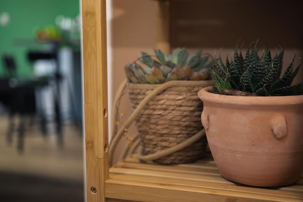 Coin De Nature En Centre-Ville Troyes Ngoại thất bức ảnh