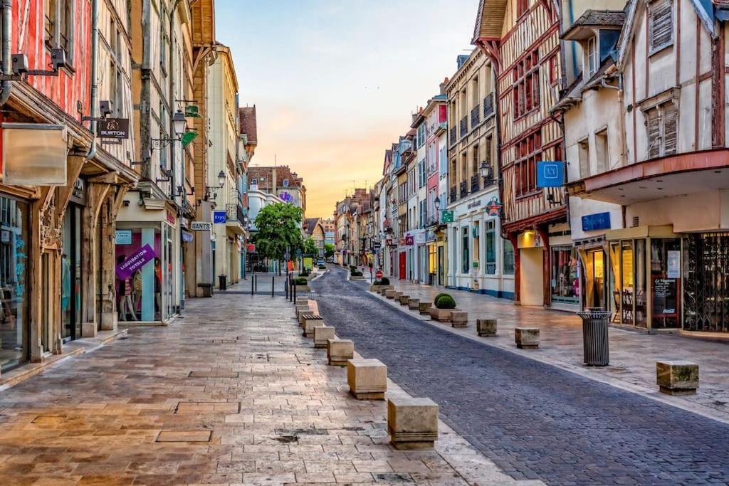Coin De Nature En Centre-Ville Troyes Ngoại thất bức ảnh